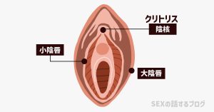 女性器　クリトリスのイラスト